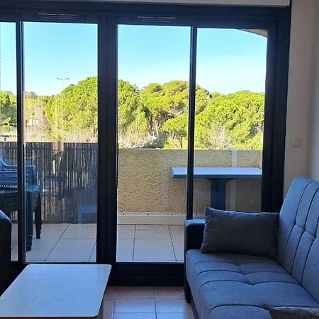 アパート Odalys Cap D'agde - Piscine Chauffee, Clim, Plage, Parking Prive, Terrasse アグド
